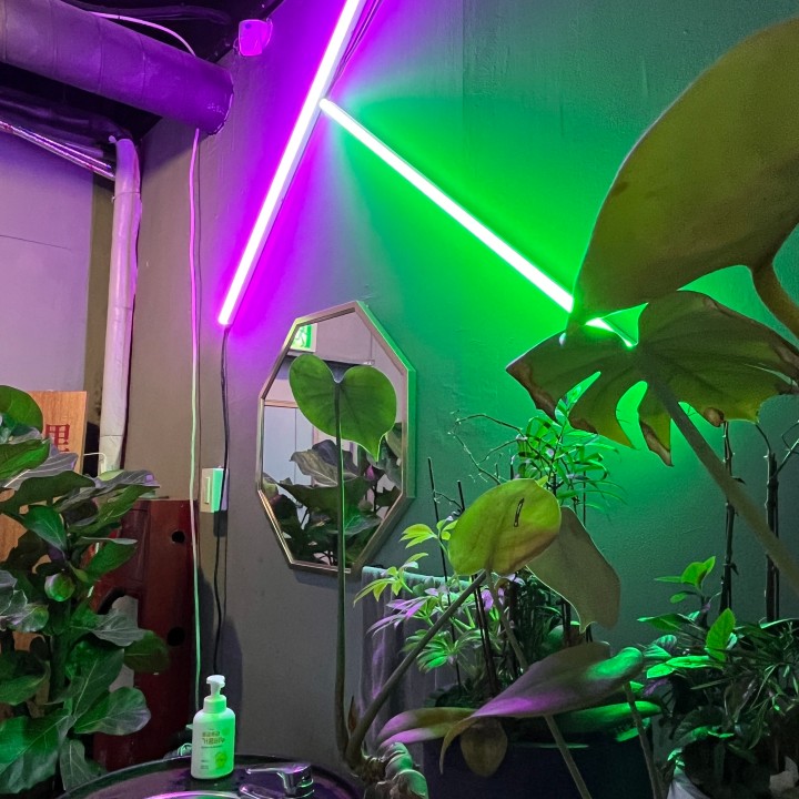 프로모션